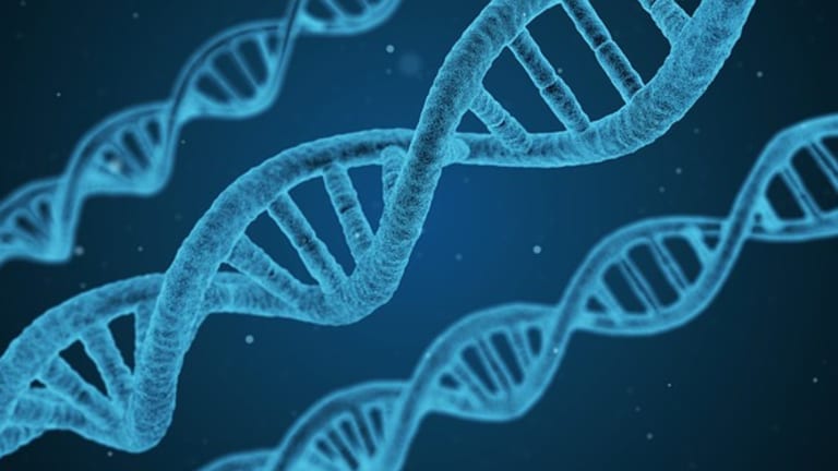 Genetic Testing Overview