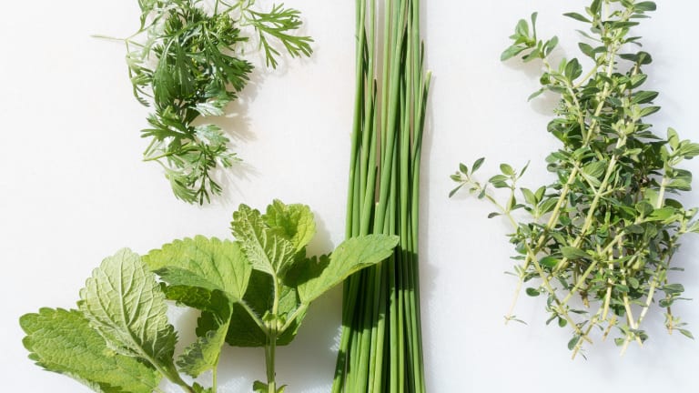 Food as Medicine