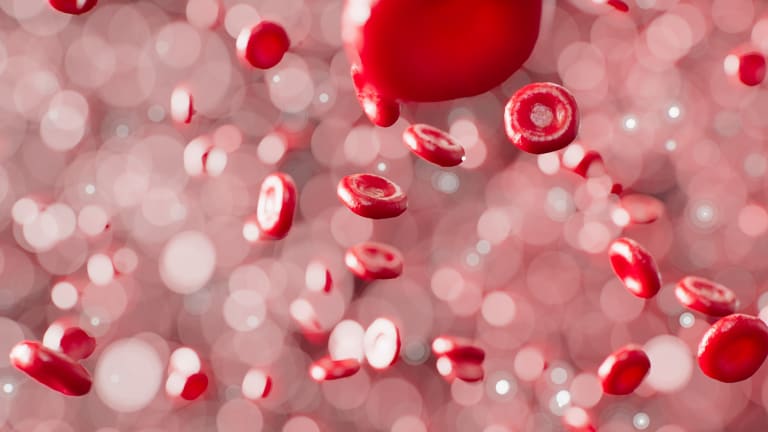 Red Blood Cell Transfusions: What You Need to Know