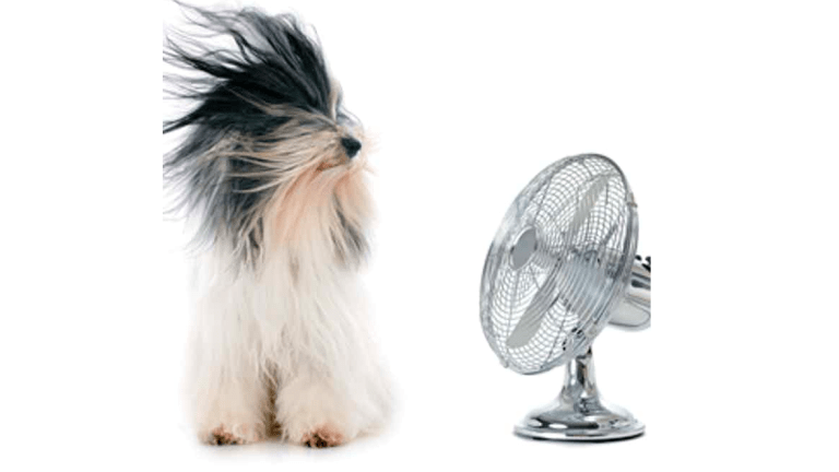 Hot Flashes: What are the Treatment Options for Cancer Patients and Survivors