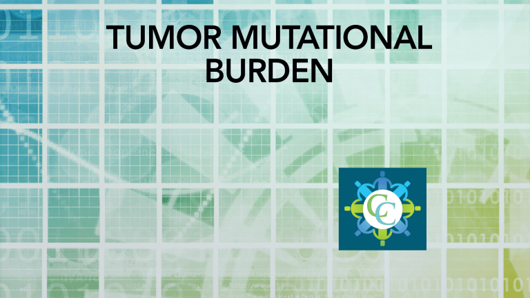 Tumor Mutational Burden Identifies Cancer Responsive to Immunotherapy