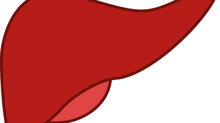 Liver Damage (Hepatotoxicity) Overview