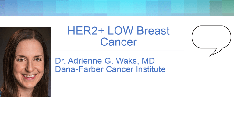 Treatment of HER2 Low Breast Cancer
