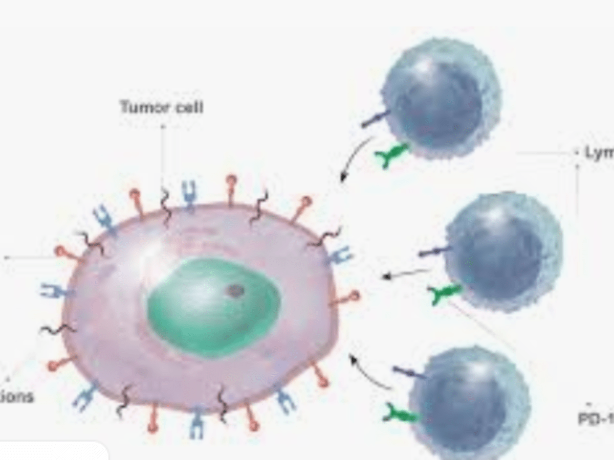 skin-cancer-biopsy-results-how-long-uk