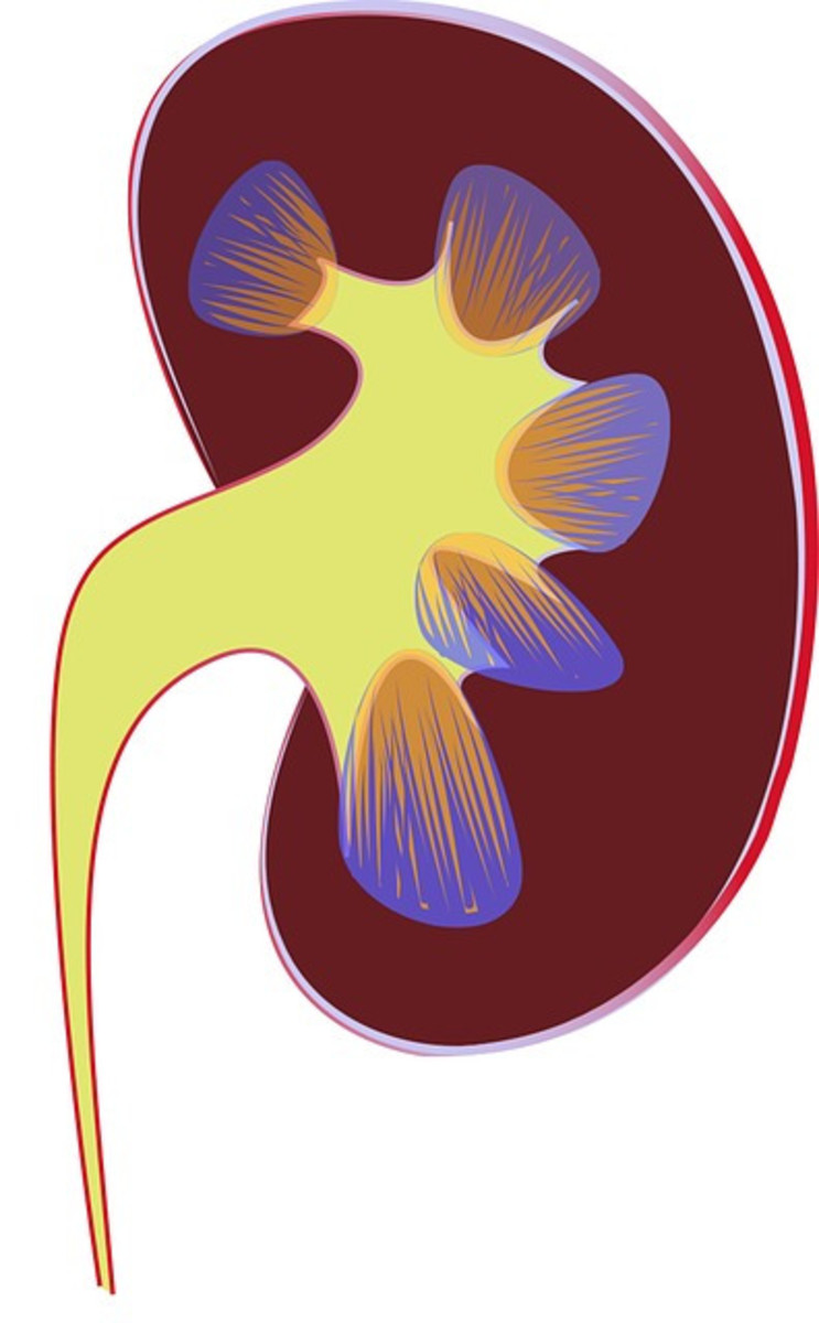 kidney-damage-acute-renal-failure-side-effects-of-treatment