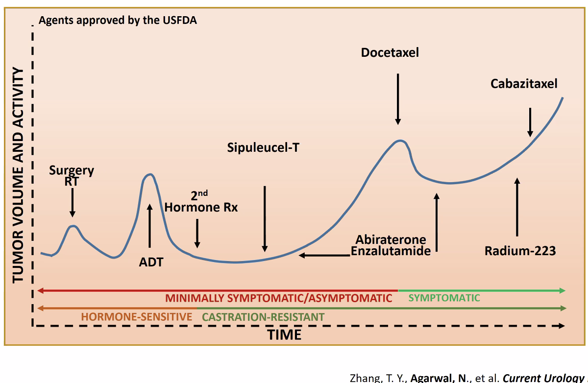 tabletta prosztatitis immunotherapy for prostate cancer australia