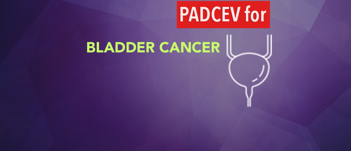 Padcev (enfortumab Vedotin) Treatment For Bladder Cancer - CancerConnect